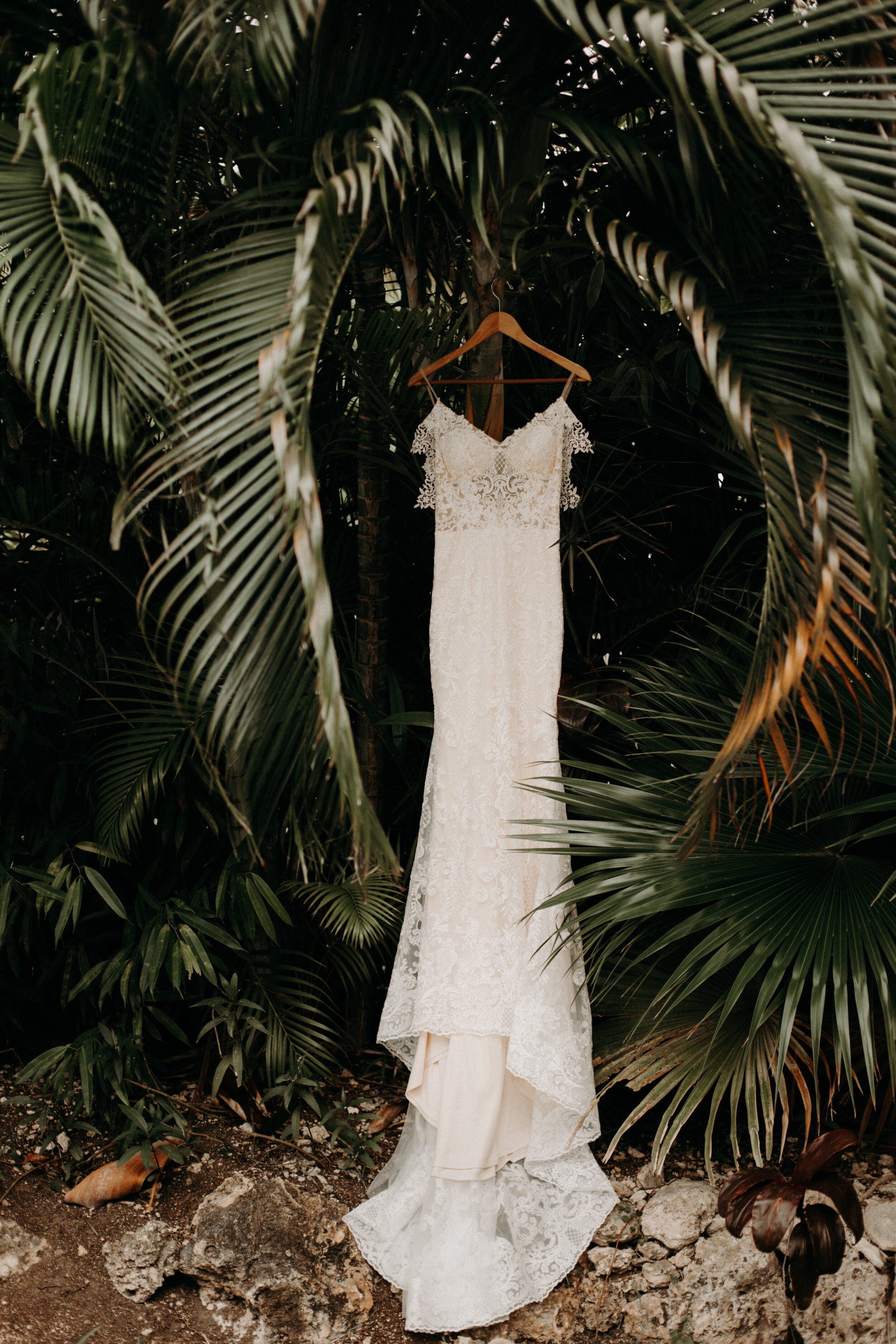 reused lacy boho wedding dress hanging in palm fronds